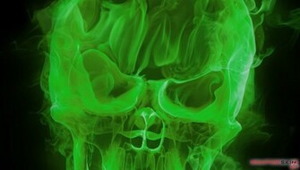 Flaming Fire Skull Green Decal Style Skin Fits Sony Ps Vita