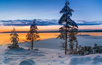 Wallpaper Winter Snow Trees Sunset Lake Sweden