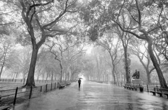 Photography From New York Times Brett Weston Bruce Davidson