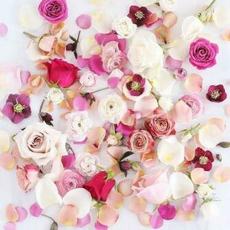 Digital Blooms February Desktop Wallpaper Justinecelina
