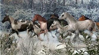 Caballos En Invierno Wallpaper