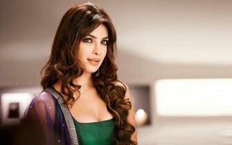 Beautiful Indian Desi Girls Priyanka Chopra HD Pictures New