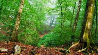 Full HD Nature Wallpaper For Laptop Pc