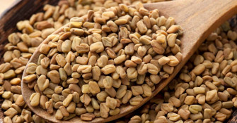 All About Fenugreek Wallpaper