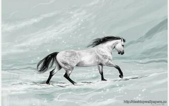 Horse Running In Snow HD Wallpaperdesktop Wallpaper