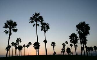 Venice Beach HD Windows Wallpaper