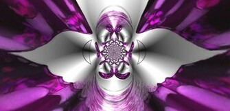 Pretty Butterfly Background Layouts Quoteko