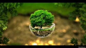HD Nature Wallpaper Sf