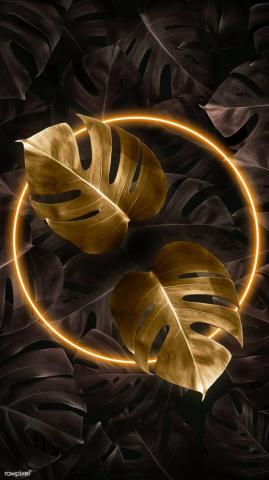 Tropical Golden Neon Lights Frame Phone Screen Wallpaper Premium