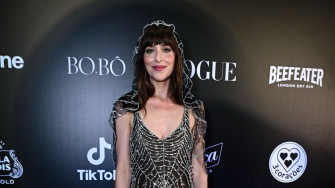 Dakota Johnson Wallpaper