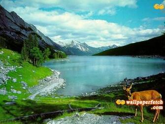 Wallpaper Fetch Nature Pack