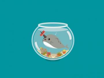 Cute Narwhal Wallpaper Top Background