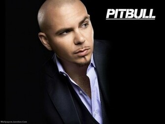 Pitbull Wallpaper Rapper