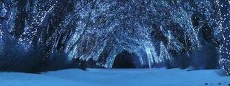 Winter In The Woods Wallpaper Digital Blasphemy Mobile