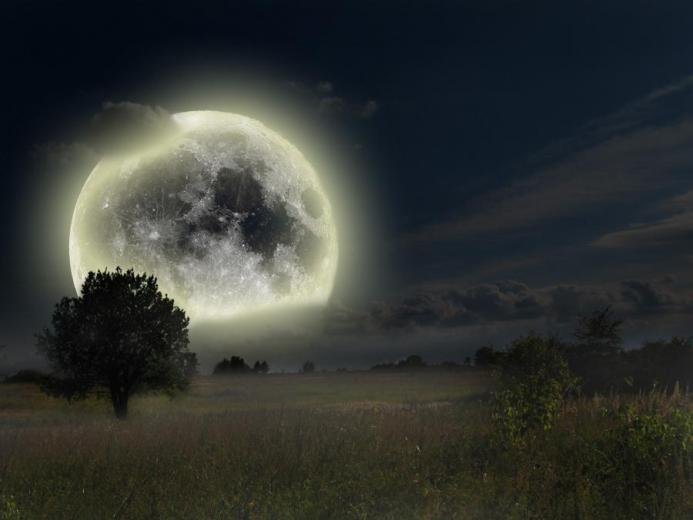 Dolce Notte Mia Splendida Creatura Ti Amo Shelly Sei La Vita