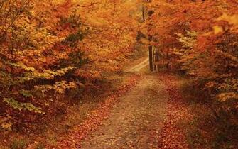 Autumn Road Background Desktop