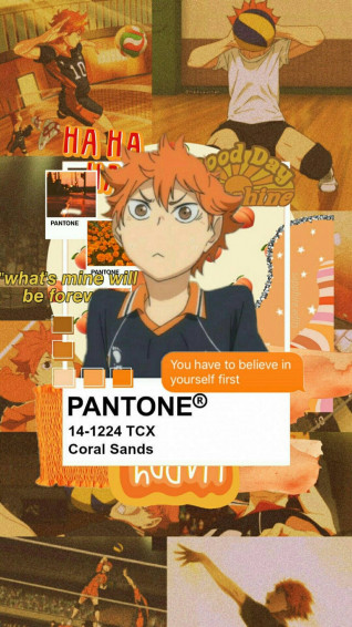 Shoyo Hinata Wallpaper