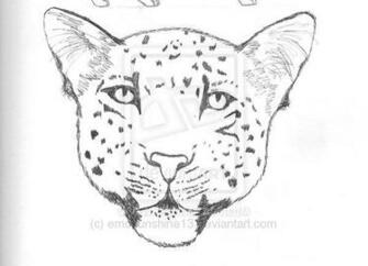 Leopard Drawing By Emosunshine13
