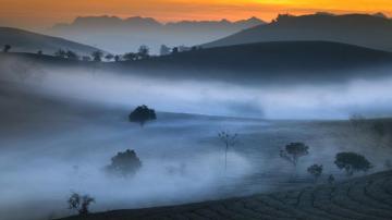 Wallpaper Mountains Fog Morning Trees UHD 4k Picture