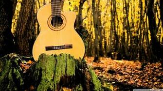 Forrest Guitar Wallpaper
