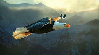 Eagle Fly Above Mountains Wallpaper Dreamlovewallpaper