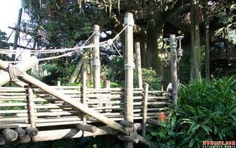 Swiss Family Treehouse Desktop Wallpaper