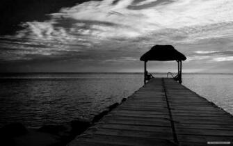 Black And White Nature Wallpaper Gallery