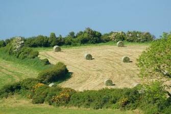 Hay Bale Photos Wallpaper Desktop Background