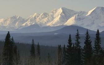 Mountains Scenic Snow Taiga Forest Trees Nature