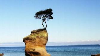 Wallpaper Background Cool Definition Invents Nature