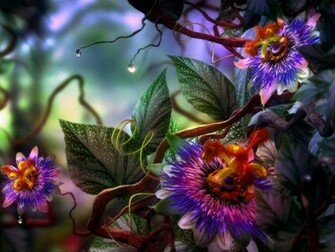 Colourful Nature Multi Color Flowers Wallpaper Pictures HD Destop