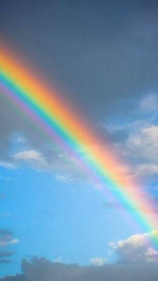 Rainbow Live Wallpaper 1mobile