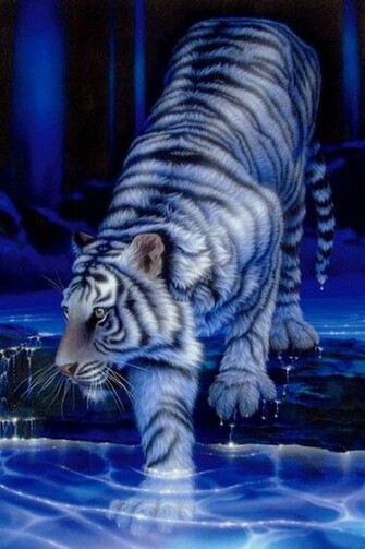 Cool Tiger iPhone Wallpaper Photo Galleries And