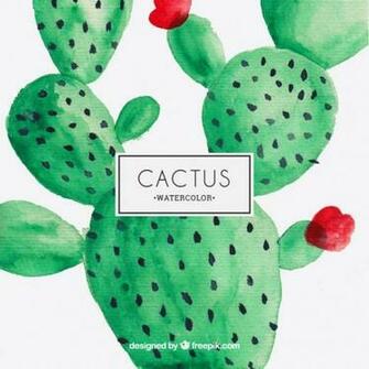 Watercolor Cactus Vector
