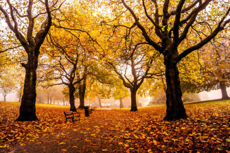 New England Autumn Wallpaper