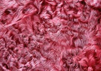 Texture Pink Fur Background Image