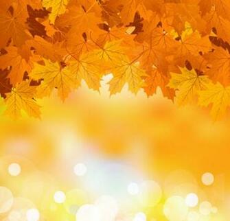 Fall Of Maple Leaf Elements Background Vector Name
