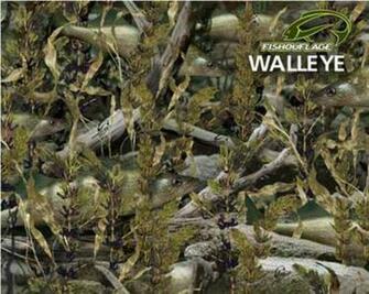 Pin Realtree Advantage Wallpaper Pictures