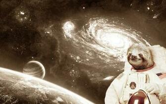 Astronaut Sloth Image