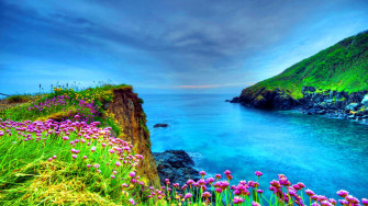 Beautiful HD Wallpaper For Desktop