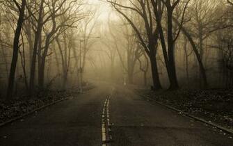 Trees Forest Fog Mist Haze Dark Spooky Autumn Fall Seasons Wallpaper