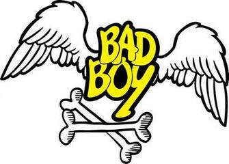Bad Boy Mma Logo Wallpaper Abhi Logos