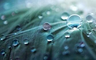 HD Wallpaper For Android Galaxy Tab New