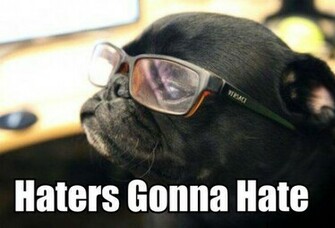 Cool Dog Hatas