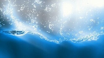 Water Drops Wallpaper