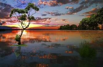 Nature Photography By Micaela M Bayon