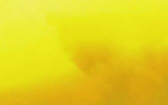 These Yellow Wallpaper In High Definition For