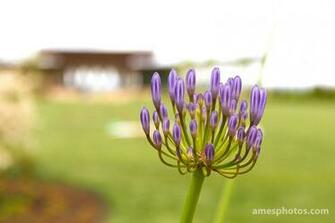 William Ames Photography Penn State Wallpaper
