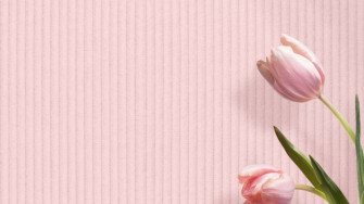 Aesthetic Computer Light Pink Wallpaper