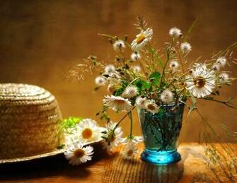 Beauty Daisy Vase Flower Wallpaper Three Red Flowers
